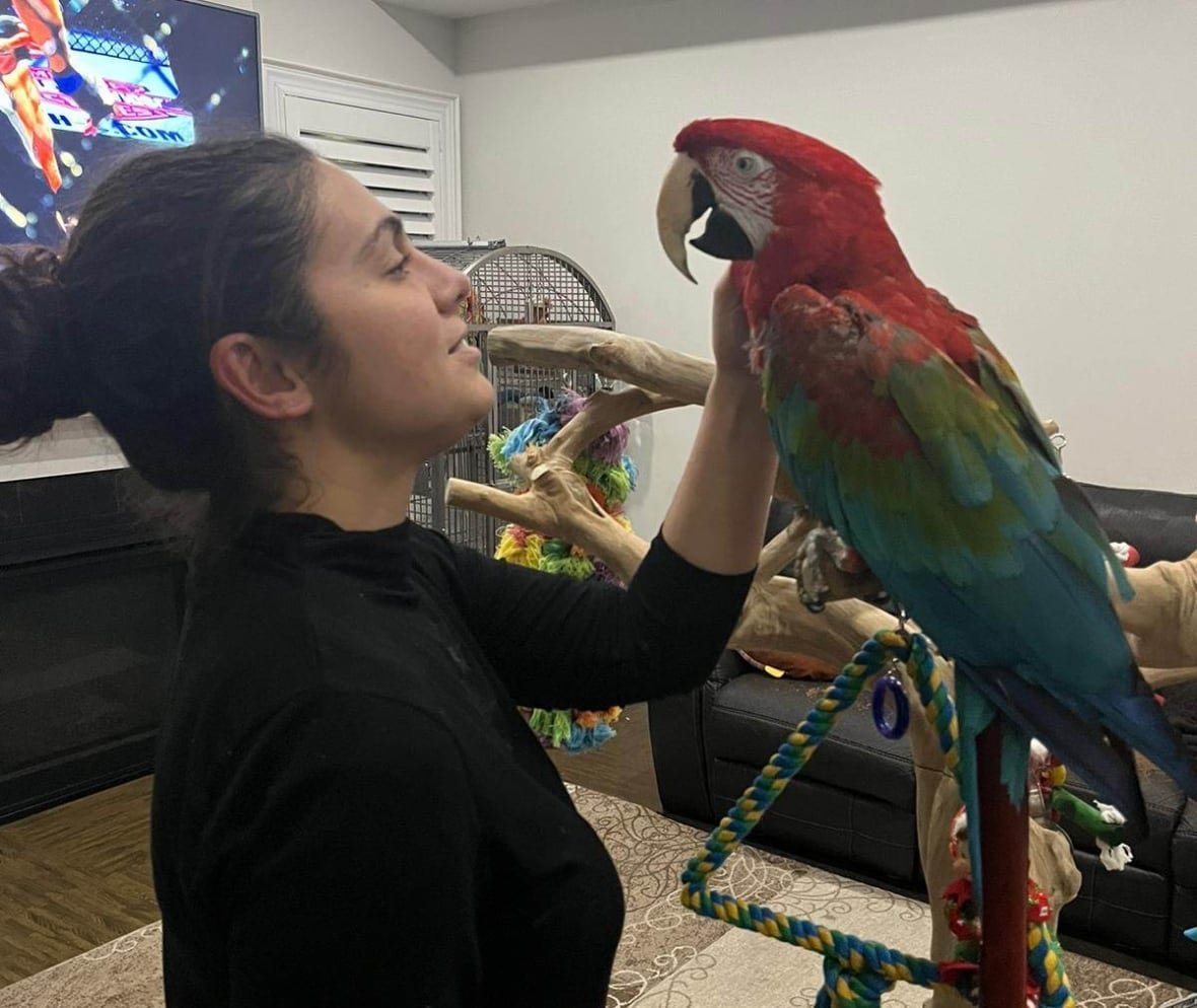 katherin-and-oscar A woman standing next to and petting a red macaw.
