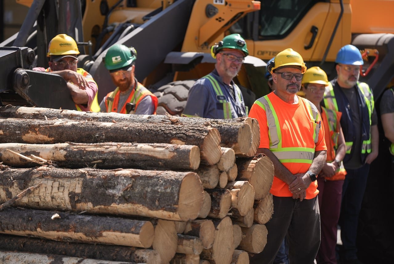 Lumber employees standing near pile of logs with tractors behind them.
