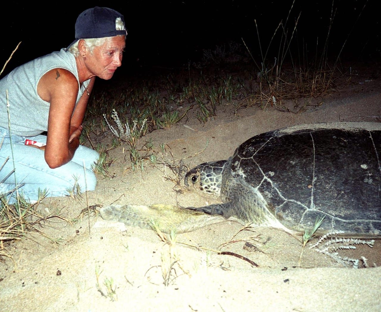 A woman with white hair wearing a backward ballcap kneeling on the sand at night in front of a sea turtle